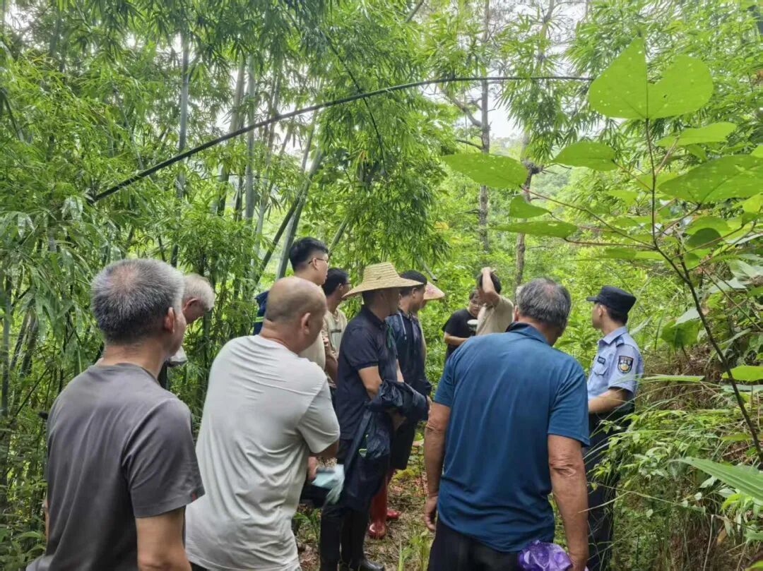 百万补偿僵持七年，博白山林权属案终和解