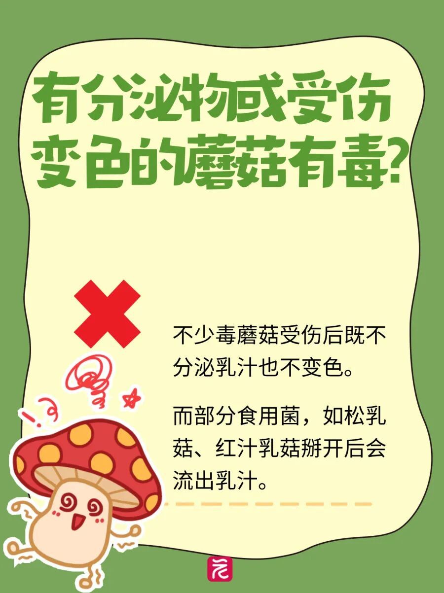 广州连日降雨长出“野味”蘑菇?提醒:切勿采摘食用! 广州连日降雨长出“野味”蘑菇?提醒:切勿采摘食用!