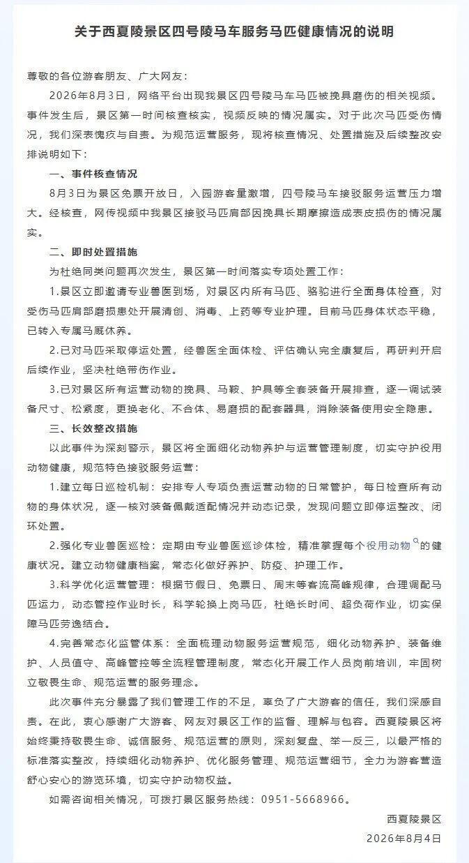 马匹被挽具磨伤,西夏陵景区:我们深感自责 马匹被挽具磨伤,西夏陵景区:我们深感自责