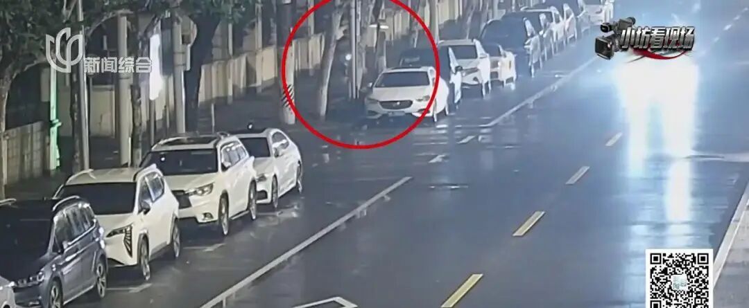 地铁站附近绿化带中,惊现数万根香烟!男子逃回老家,被上海警方连夜抓回 地铁站附近绿化带中,惊现数万根香烟!男子逃回老家,被上海警方连夜抓回
