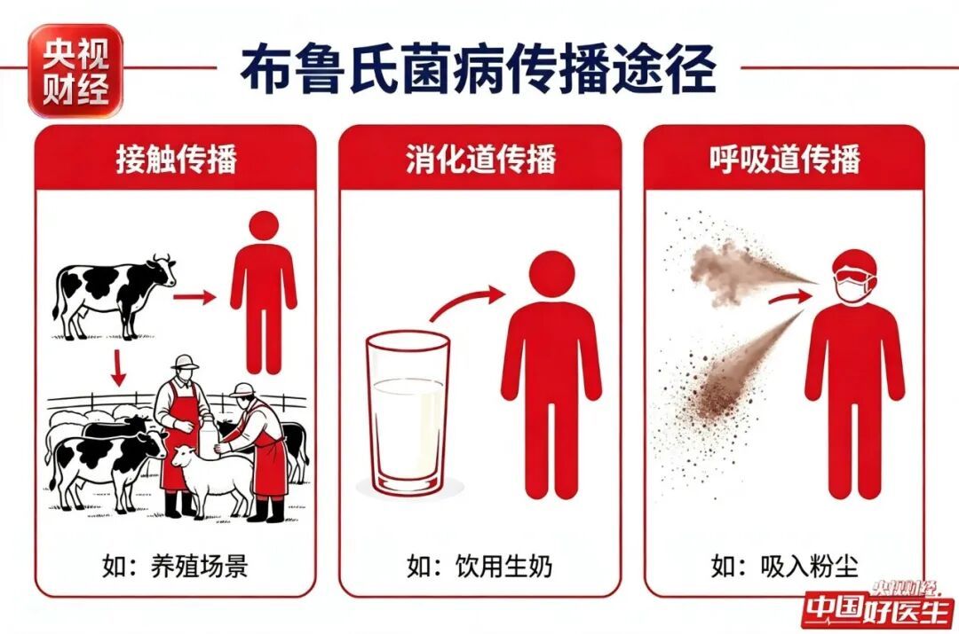 持续发热、浑身酸痛乏力?别当感冒,小心“啃骨头”细菌找上门病 持续发热、浑身酸痛乏力?别当感冒,小心“啃骨头”细菌找上门病