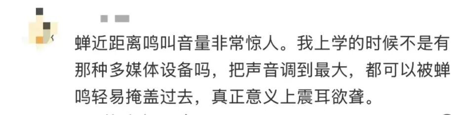 多人因蝉鸣听力受损!医生紧急提醒 多人因蝉鸣听力受损!医生紧急提醒