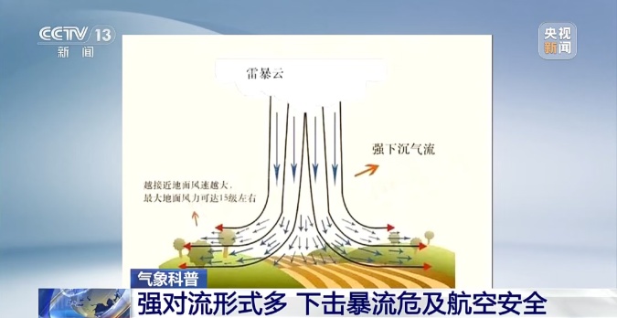 拔起大树、吹走门窗……遇到“下击暴流”怎么办？