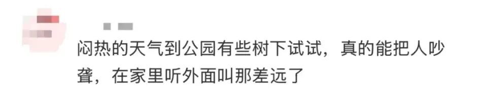 多人因蝉鸣听力受损!医生紧急提醒 多人因蝉鸣听力受损!医生紧急提醒