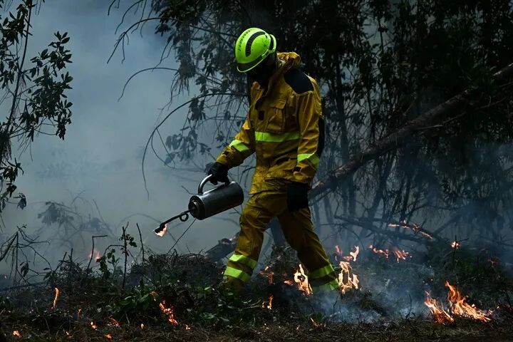 法国野火引爆二战遗留弹药 法国野火引爆二战遗留弹药