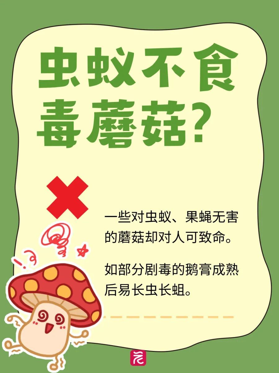 广州连日降雨长出“野味”蘑菇?提醒:切勿采摘食用! 广州连日降雨长出“野味”蘑菇?提醒:切勿采摘食用!