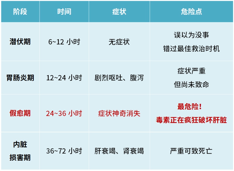 广州连日降雨长出“野味”蘑菇?提醒:切勿采摘食用! 广州连日降雨长出“野味”蘑菇?提醒:切勿采摘食用!