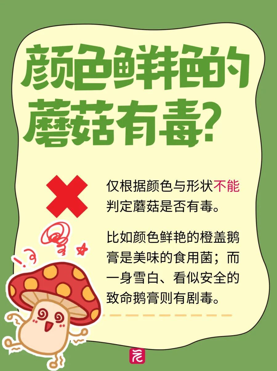 广州连日降雨长出“野味”蘑菇?提醒:切勿采摘食用! 广州连日降雨长出“野味”蘑菇?提醒:切勿采摘食用!