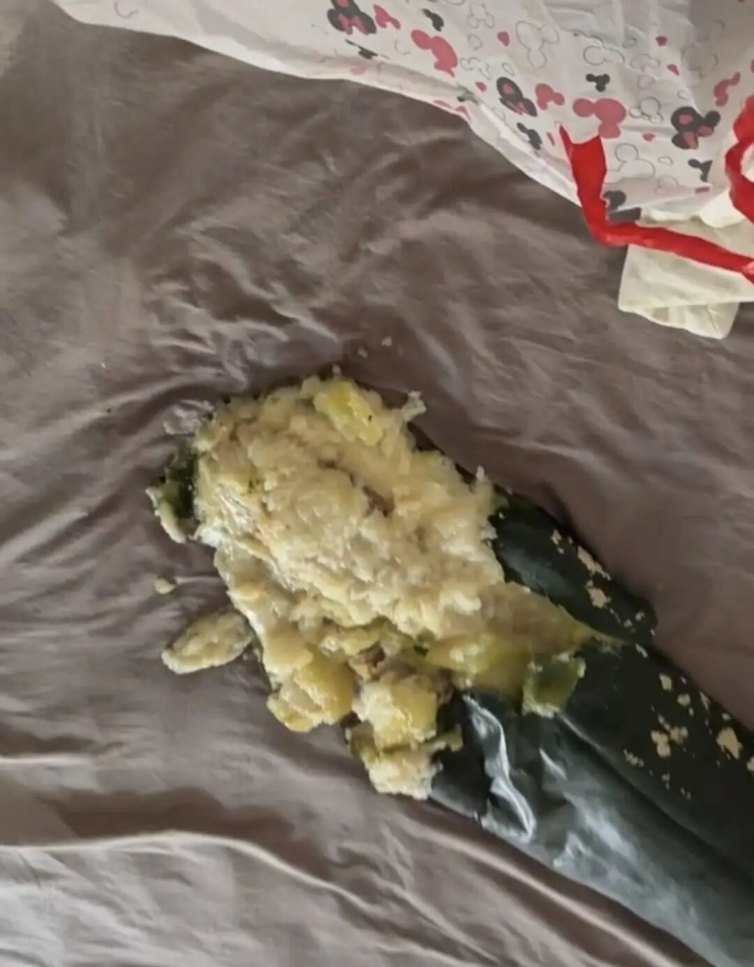 半夜“炸瓜”!女子抱冬瓜降温,睡梦中爆裂汁水四溅!专家:体温烘烤+汗液发酵惹的祸 半夜“炸瓜”!女子抱冬瓜降温,睡梦中爆裂汁水四溅!专家:体温烘烤+汗液发酵惹的祸