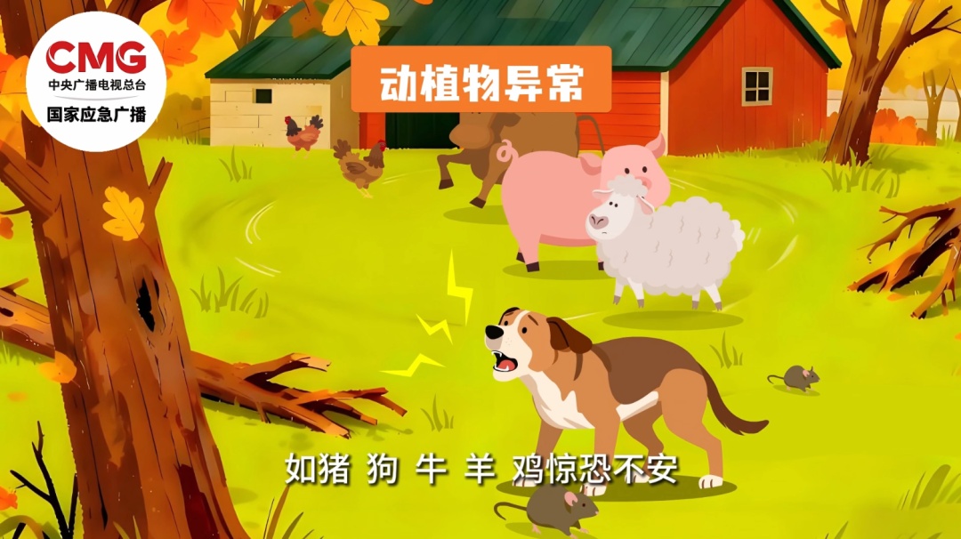 212人被困!又是景区突发山洪,有预警为何仍遇险? 212人被困!又是景区突发山洪,有预警为何仍遇险?