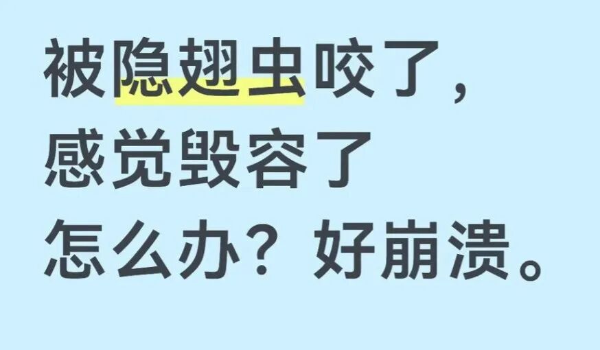 眼下正是活跃期!碰到隐翅虫不要拍、不要打,有人被咬痛到失眠 眼下正是活跃期!碰到隐翅虫不要拍、不要打,有人被咬痛到失眠