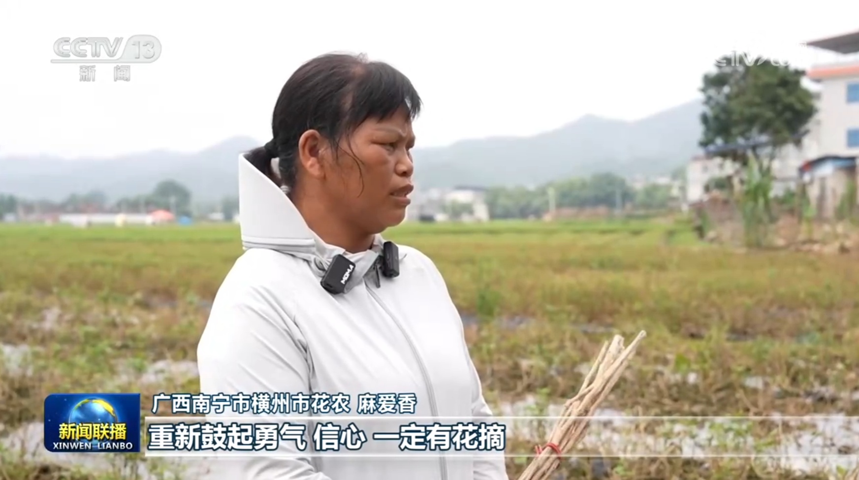 【一线调研】风雨过后茉莉开 【一线调研】风雨过后茉莉开