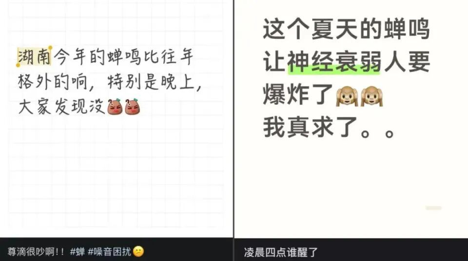多人因蝉鸣听力受损!医生紧急提醒 多人因蝉鸣听力受损!医生紧急提醒
