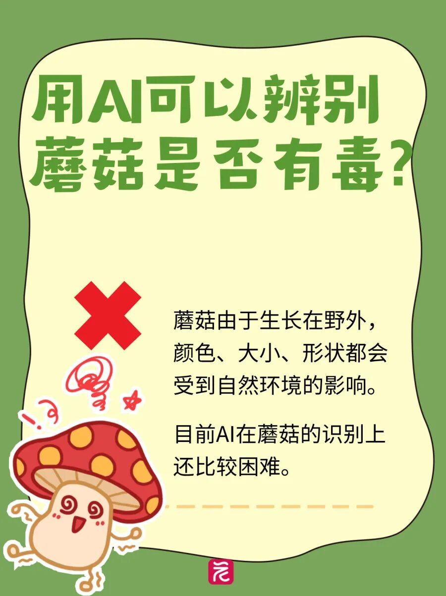广州连日降雨长出“野味”蘑菇?提醒:切勿采摘食用! 广州连日降雨长出“野味”蘑菇?提醒:切勿采摘食用!