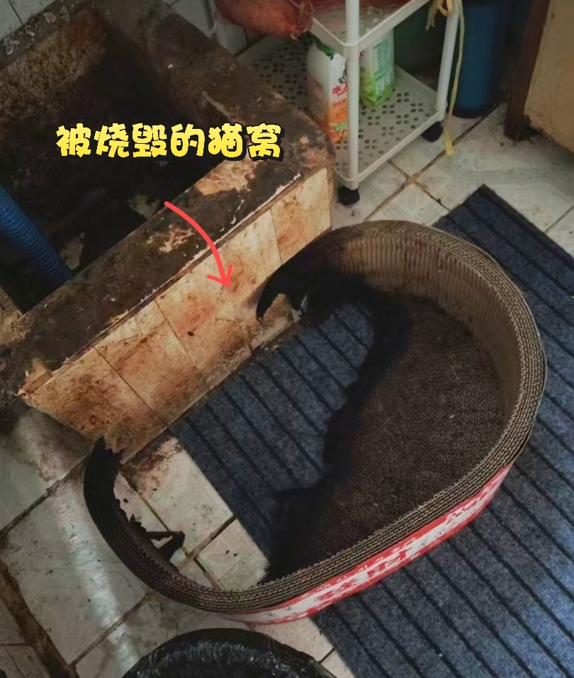 阳台蚊香烤着猫窝阴燃冒烟 居民有惊无险!夏季驱蚊这些用火坑不容忽视 阳台蚊香烤着猫窝阴燃冒烟 居民有惊无险!夏季驱蚊这些用火坑不容忽视