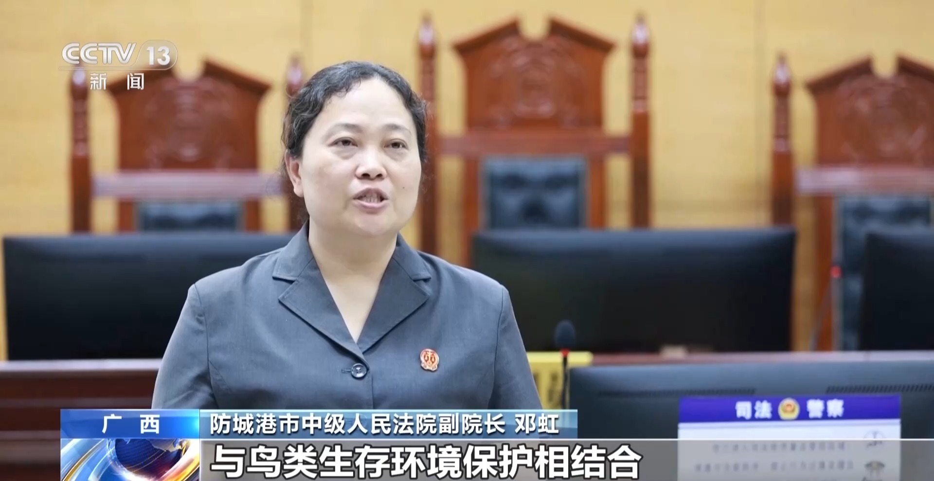 “破坏者”变“守护者” 司法替代性修复助力红树林生态保护