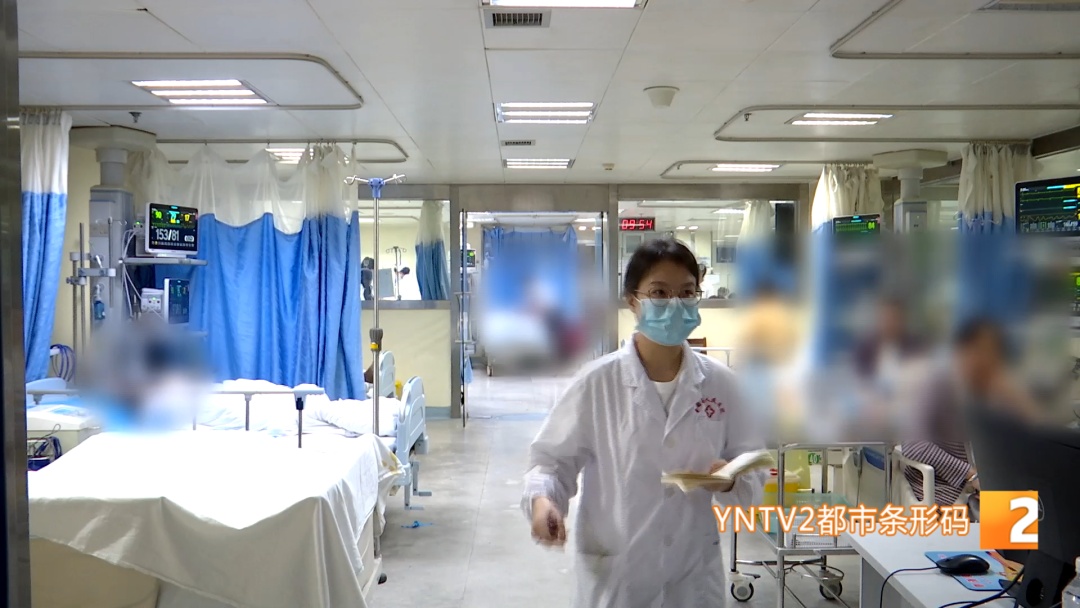 近期高发!昆明已有多人被它咬伤,严重可致命 近期高发!昆明已有多人被它咬伤,严重可致命