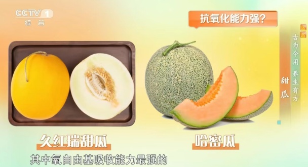 甜瓜竟是“隐形护心果” 这样吃更有营养→ 甜瓜竟是“隐形护心果” 这样吃更有营养→