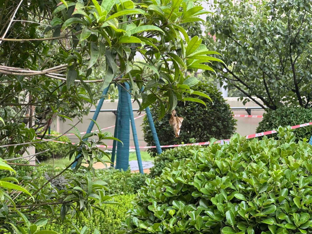 西安一小区交房仅1年多,小区绿地塌陷,车库漏水 西安一小区交房仅1年多,小区绿地塌陷,车库漏水
