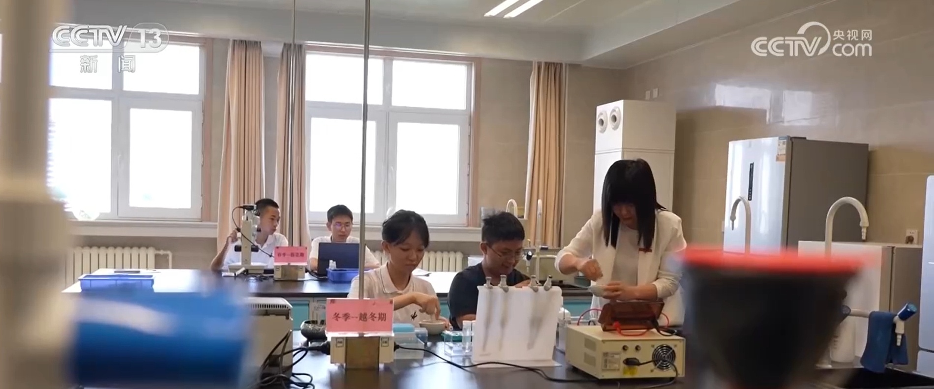 科学教育迎来重大转变 从“看实验”到“做中学” 激发学生探求欲 科学教育迎来重大转变 从“看实验”到“做中学” 激发学生探求欲