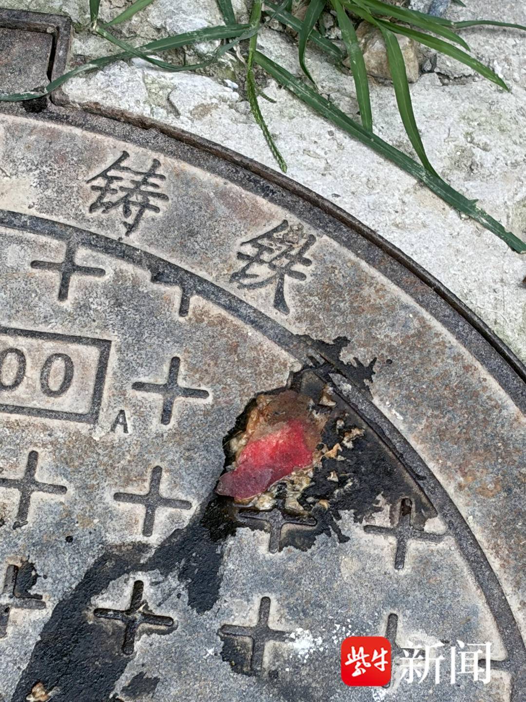 太懒不想下楼,女子从9楼扔下6个变质的桃子,涉嫌高空抛物罪被警方刑拘 太懒不想下楼,女子从9楼扔下6个变质的桃子,涉嫌高空抛物罪被警方刑拘