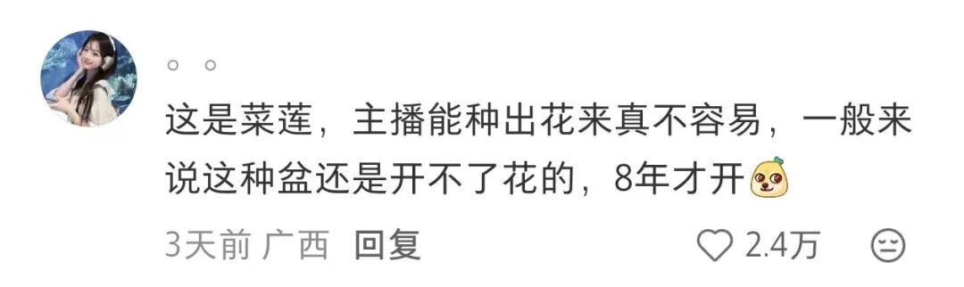 女子在美国种下莲子,苦等8年终于开出荷花 女子在美国种下莲子,苦等8年终于开出荷花