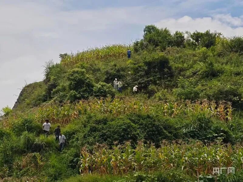 搜寻80小时后，贵州4岁“孤独症”男童成功被找到！