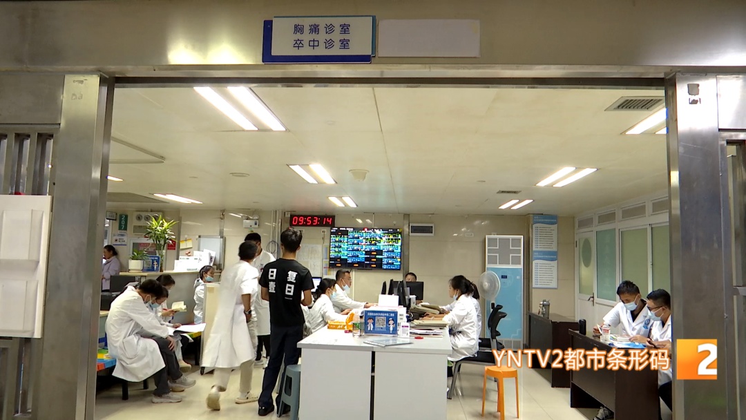 近期高发!昆明已有多人被它咬伤,严重可致命 近期高发!昆明已有多人被它咬伤,严重可致命