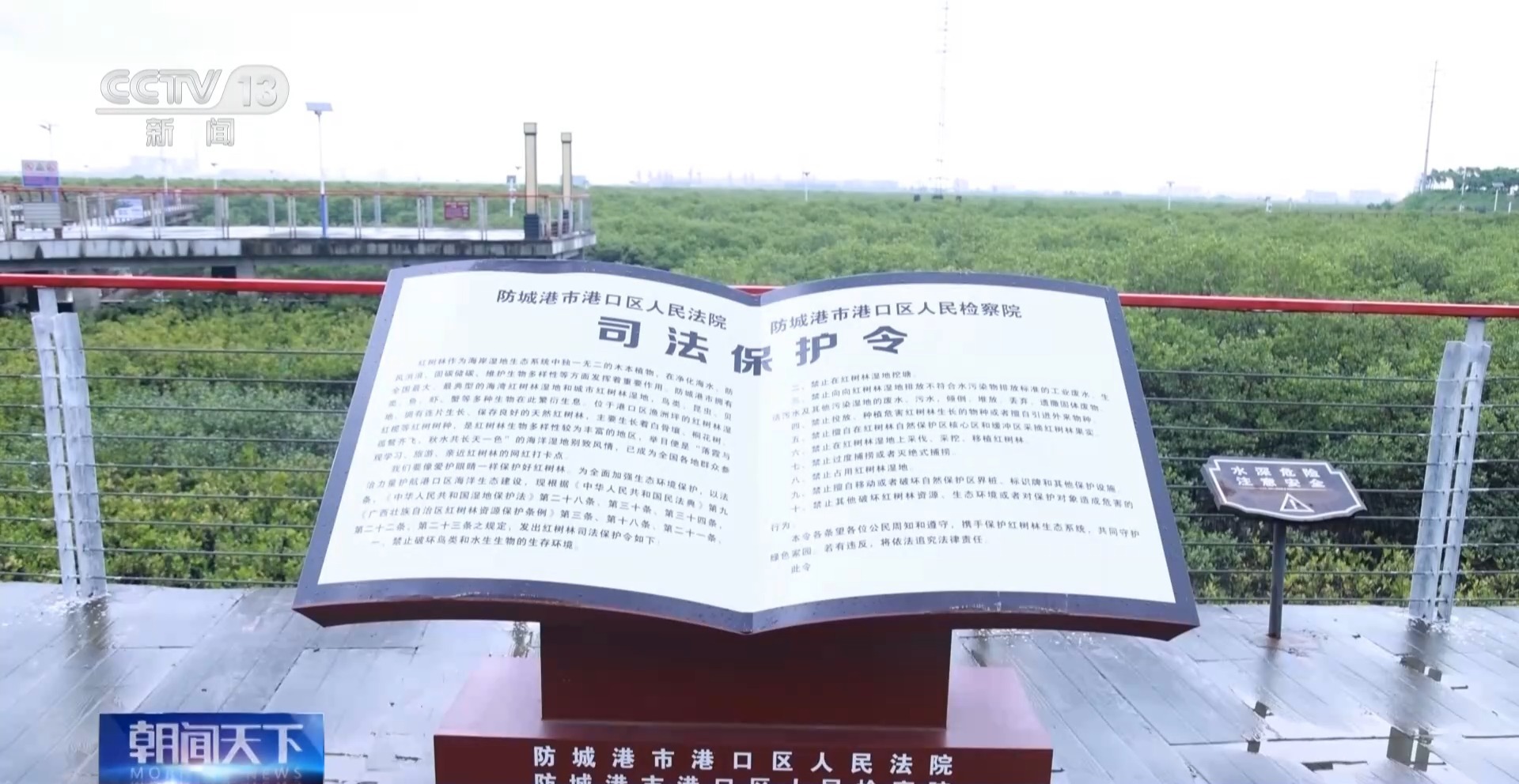 “破坏者”变“守护者” 司法替代性修复助力红树林生态保护