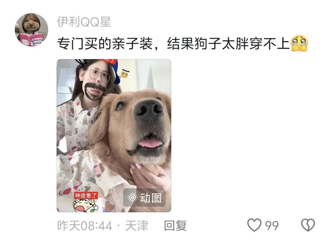 浙江女孩电梯里和狗狗撞衫!网友“补刀”:狗子的那一件看起来质量更好! 浙江女孩电梯里和狗狗撞衫!网友“补刀”:狗子的那一件看起来质量更好!