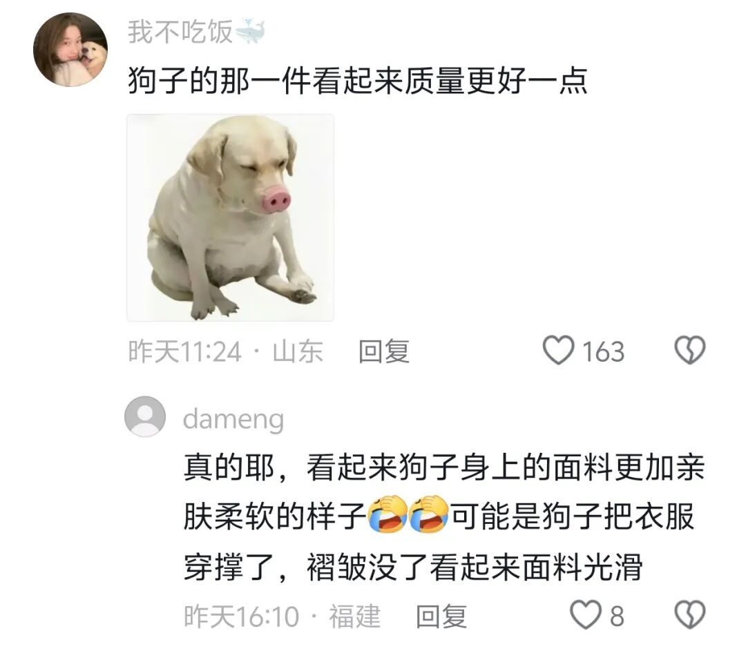 浙江女孩电梯里和狗狗撞衫!网友“补刀”:狗子的那一件看起来质量更好! 浙江女孩电梯里和狗狗撞衫!网友“补刀”:狗子的那一件看起来质量更好!