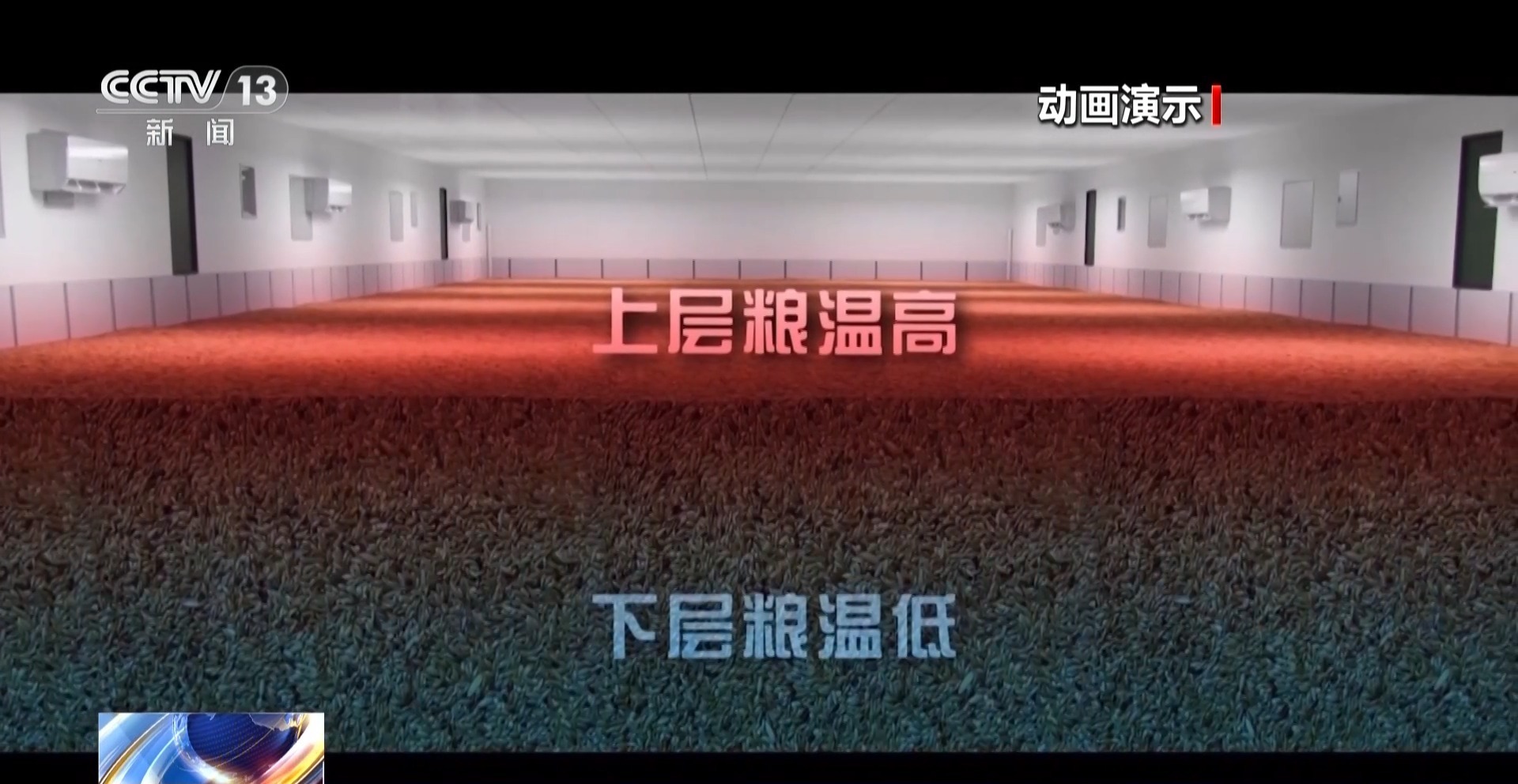 高温天粮食如何储存？“冬冷夏用”让储备粮保质保鲜