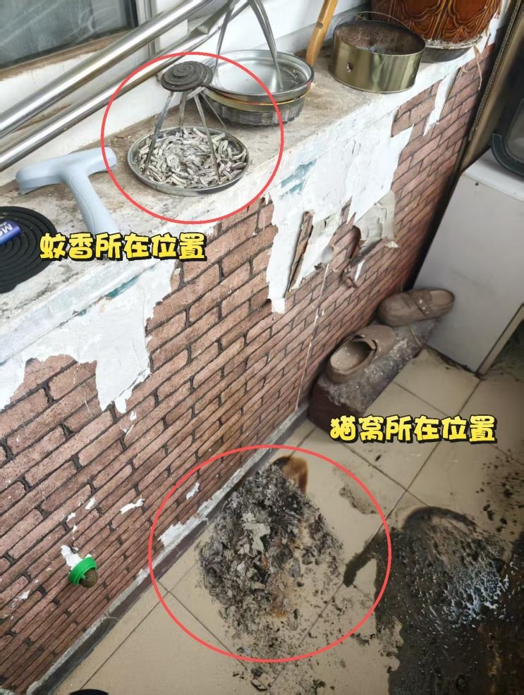 阳台蚊香烤着猫窝阴燃冒烟 居民有惊无险!夏季驱蚊这些用火坑不容忽视 阳台蚊香烤着猫窝阴燃冒烟 居民有惊无险!夏季驱蚊这些用火坑不容忽视