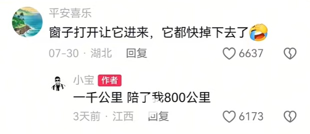 男子开车途中窗外突然冒出一条蛇,一路“搭便车”800公里,车主:吓得全程不敢打瞌睡 男子开车途中窗外突然冒出一条蛇,一路“搭便车”800公里,车主:吓得全程不敢打瞌睡