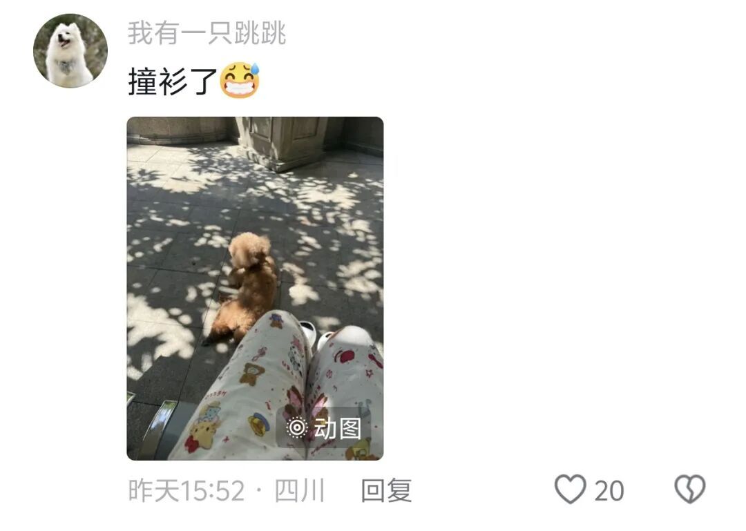 浙江女孩电梯里和狗狗撞衫!网友“补刀”:狗子的那一件看起来质量更好! 浙江女孩电梯里和狗狗撞衫!网友“补刀”:狗子的那一件看起来质量更好!