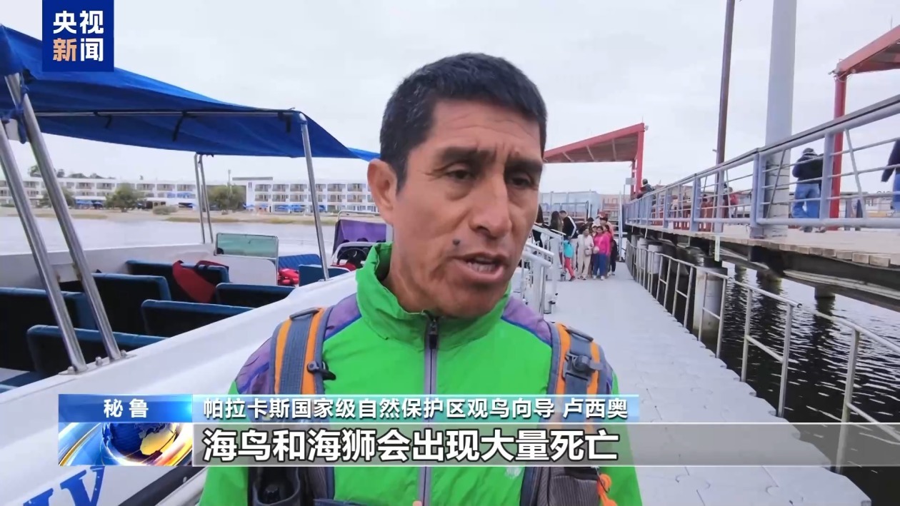 厄尔尼诺来袭 秘鲁沿海生态面临挑战 厄尔尼诺来袭 秘鲁沿海生态面临挑战