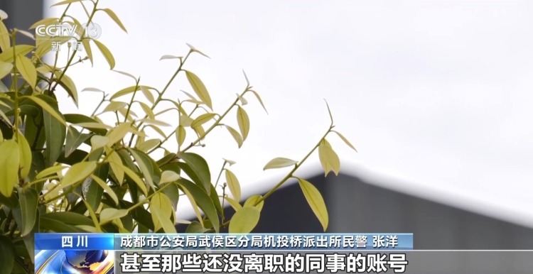 “以旧换新”变“零元购” 女子利用平台漏洞“薅”走3000多件家电 “以旧换新”变“零元购” 女子利用平台漏洞“薅”走3000多件家电