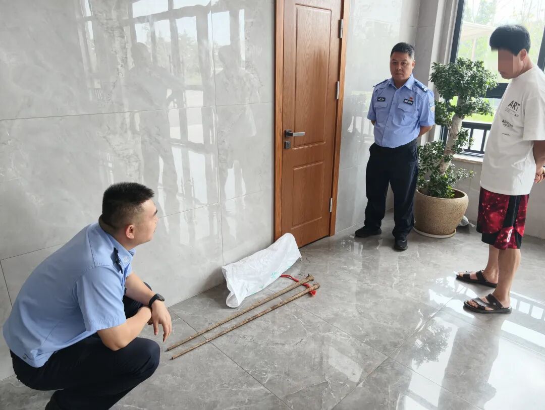老宅清出“祖传宝贝”?这可不能留! 老宅清出“祖传宝贝”?这可不能留!