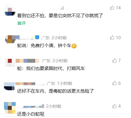 男子开车途中窗外突然冒出一条蛇，一路“搭便车”数百公里，蛇头不时靠近车窗