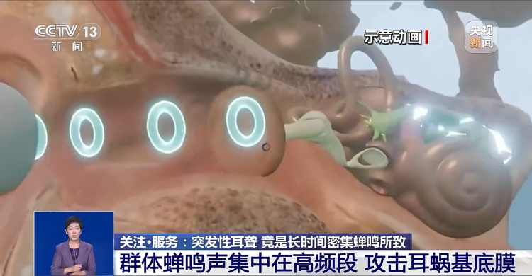 突发性耳聋,元凶竟是它!医生提醒→ 突发性耳聋,元凶竟是它!医生提醒→