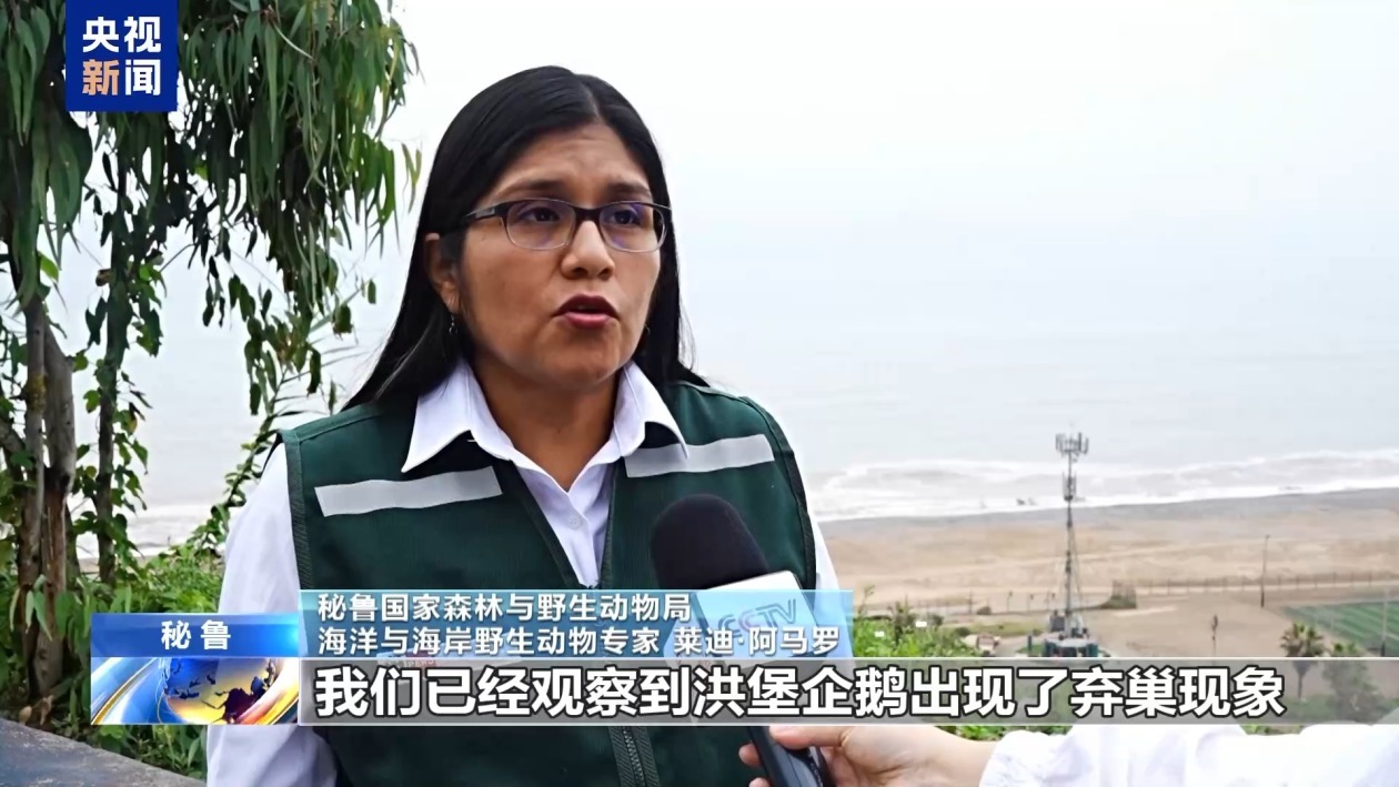 厄尔尼诺来袭 秘鲁沿海生态面临挑战 厄尔尼诺来袭 秘鲁沿海生态面临挑战