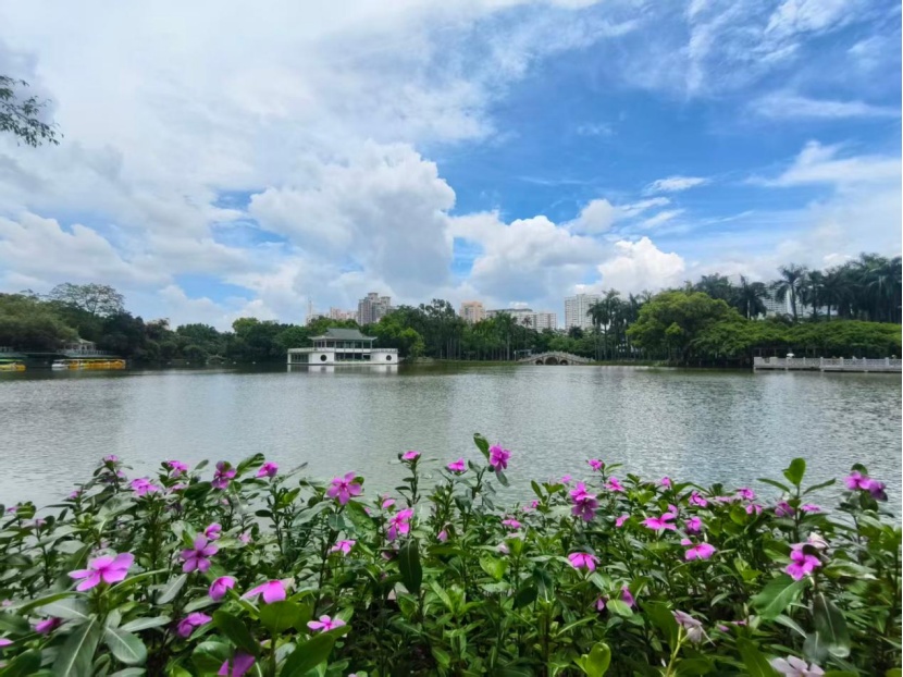 台风“白海豚”逼近!南宁开启“空调外机”模式 台风“白海豚”逼近!南宁开启“空调外机”模式