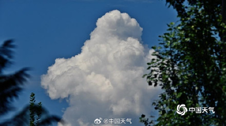 北京今日天空有个“显眼包” 浓积云强势抢镜
