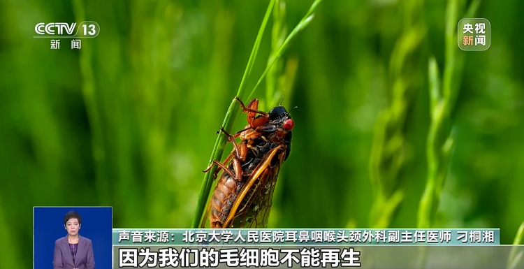 突发性耳聋,元凶竟是它!医生提醒→ 突发性耳聋,元凶竟是它!医生提醒→
