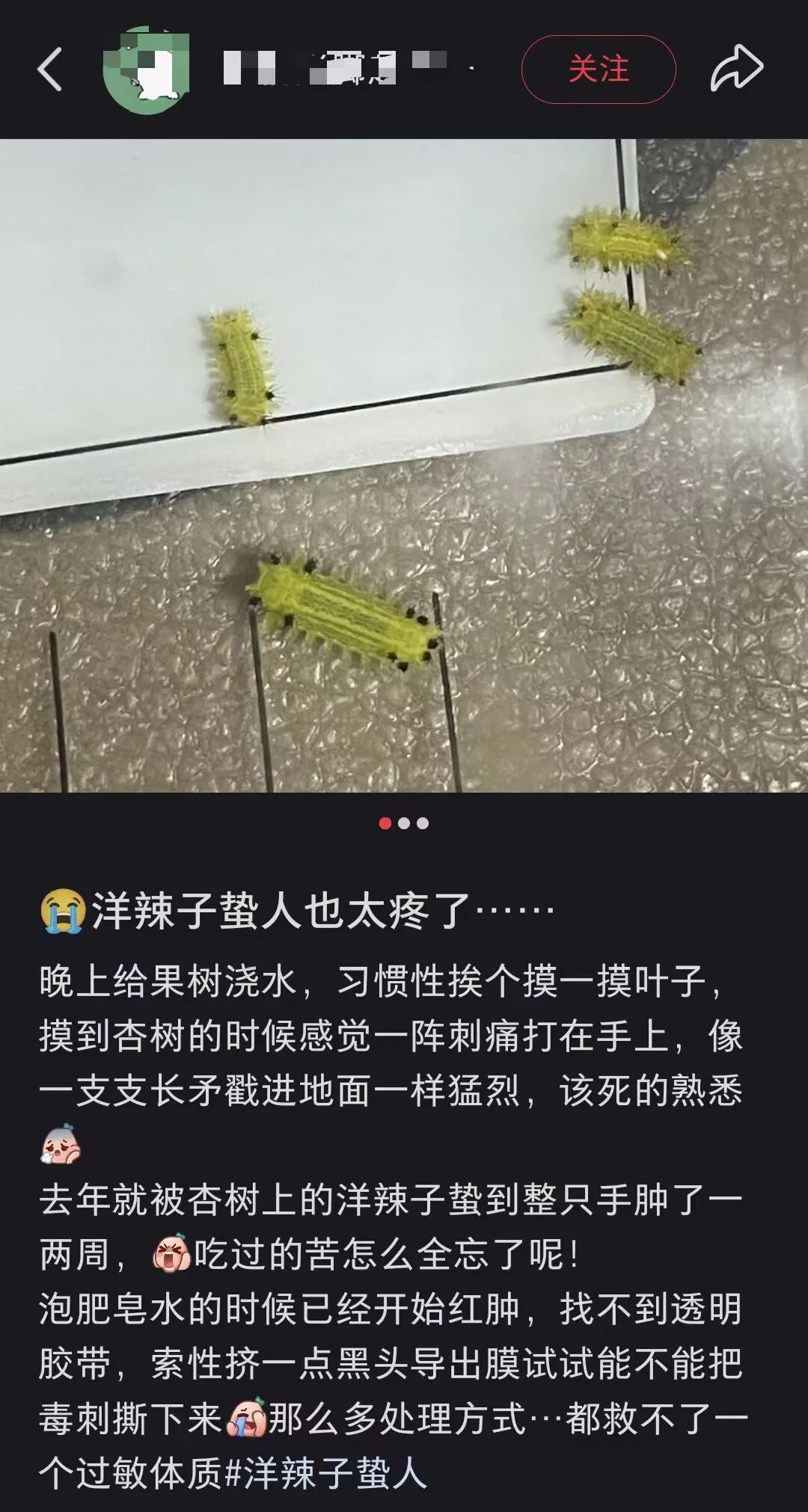 “被叮一口痛到怀疑人生”，全国多地出现，医生紧急提醒