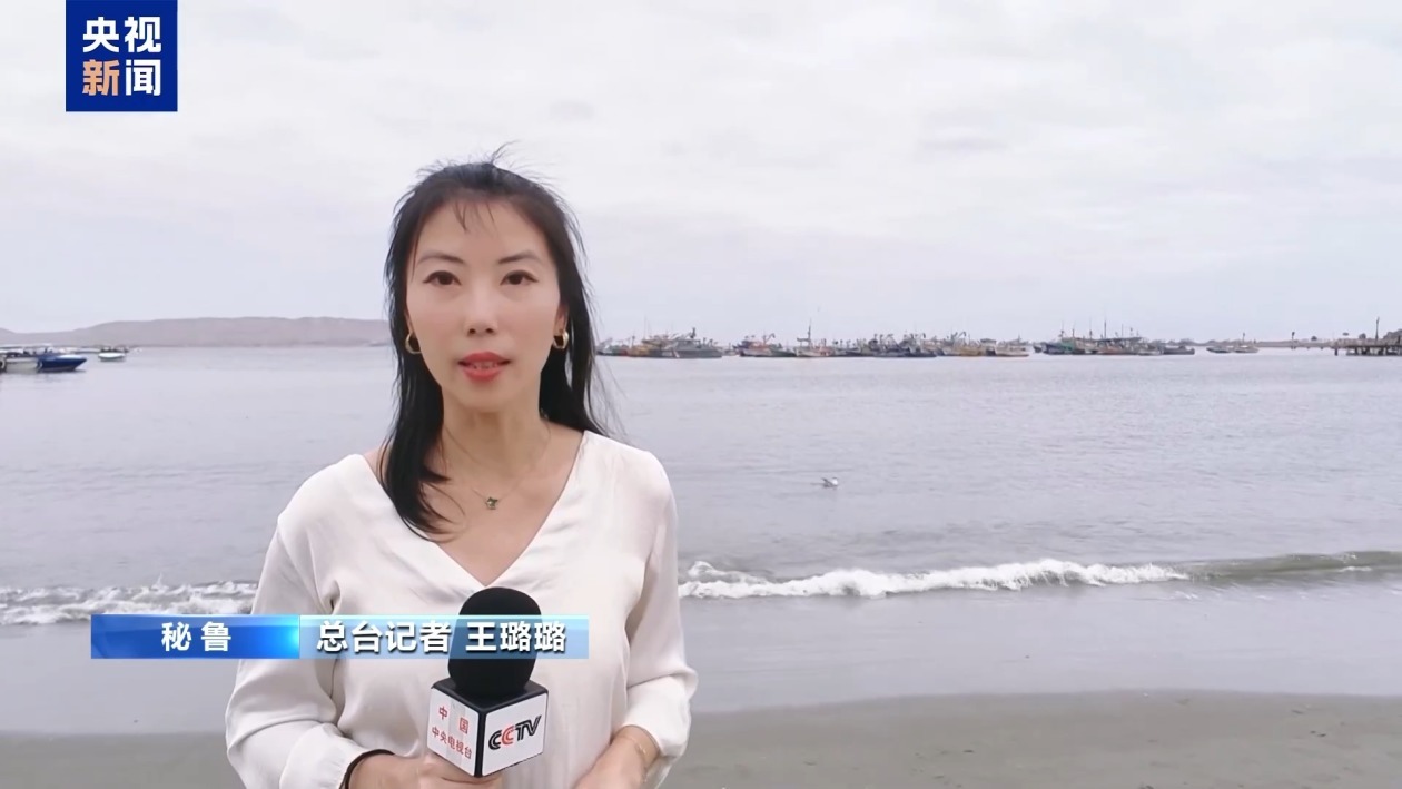 厄尔尼诺来袭 秘鲁沿海生态面临挑战 厄尔尼诺来袭 秘鲁沿海生态面临挑战