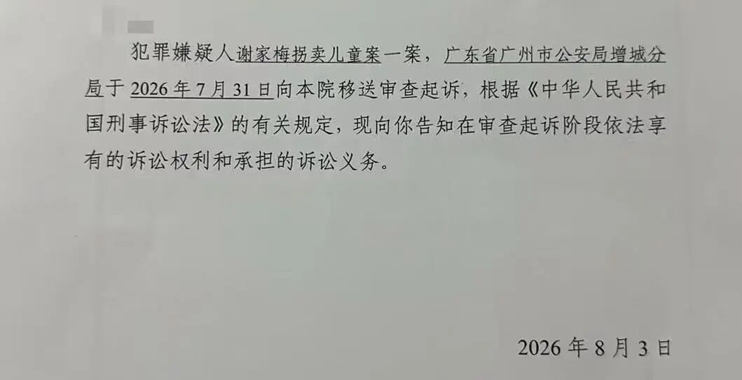 “梅姨”真名曝光，案件进入审查起诉环节，受害人申聪：我们一家会记住这个名字一辈子