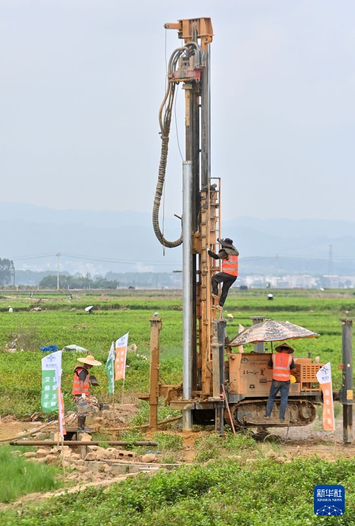 风雨磨砺香如故——横州茉莉花灾后恢复生产 风雨磨砺香如故——横州茉莉花灾后恢复生产