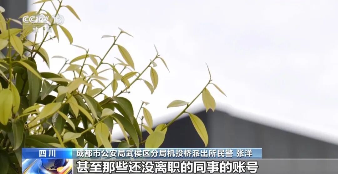 难以置信,女子利用平台漏洞“薅”走3000多件家电 难以置信,女子利用平台漏洞“薅”走3000多件家电