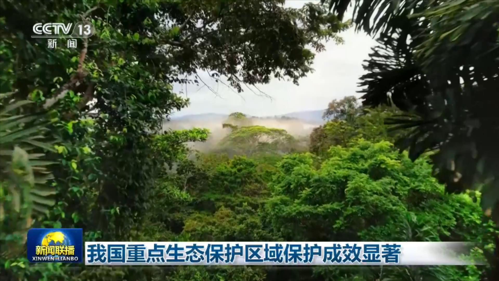 我国重点生态保护区域保护成效显著 我国重点生态保护区域保护成效显著